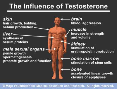 Low testosterone syndrome
